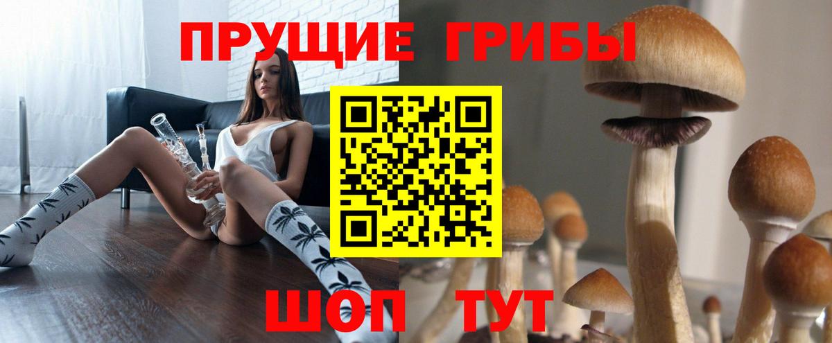 Кимры  Галлюциногенные грибы мухоморы  Вход с VPN 